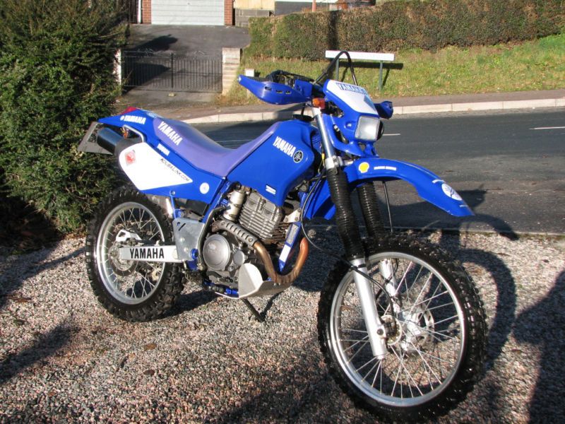 2004 Yamaha TTR250R